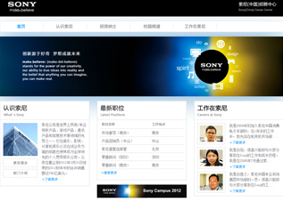 SONY HR 网站建设